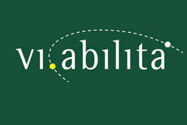 Immagine: Vi.Abilità 